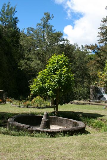 2008-04 Reunion 203.jpg